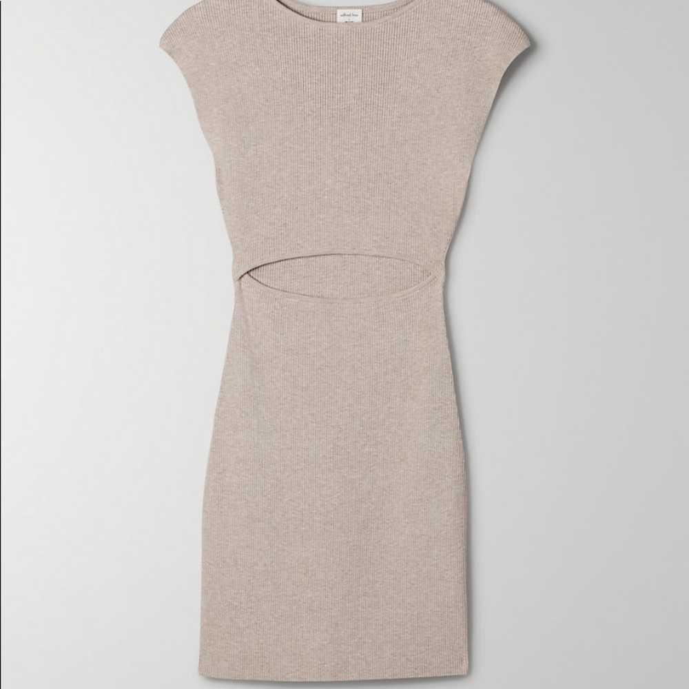 Aritzia Cut-off Knit Dress